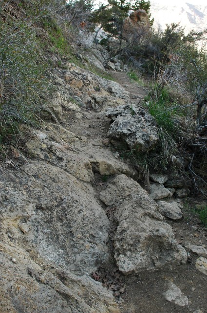 Rock Trail