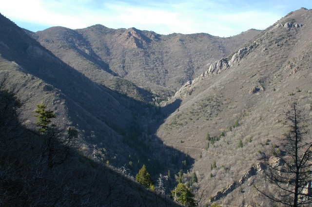 Church Fork Canyon from Desolation