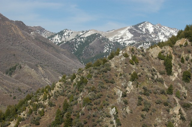 Mill Creek Canyon
