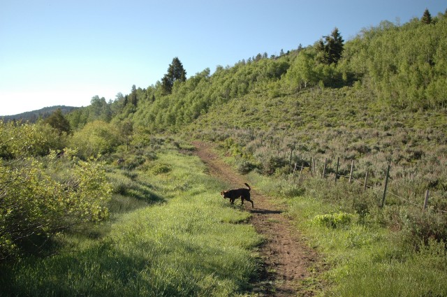 Beaver Creek Trail