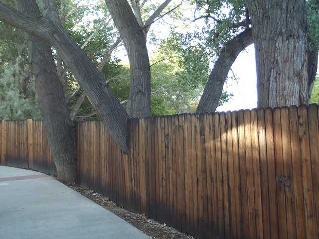 Modified Fence