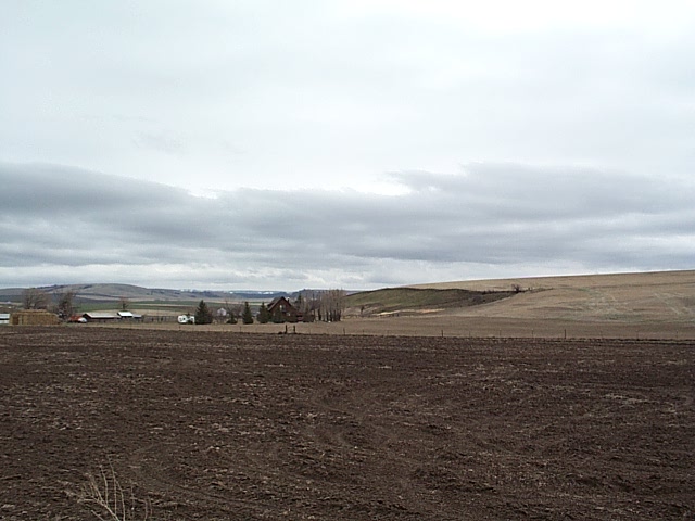 Umatilla County Farmland
