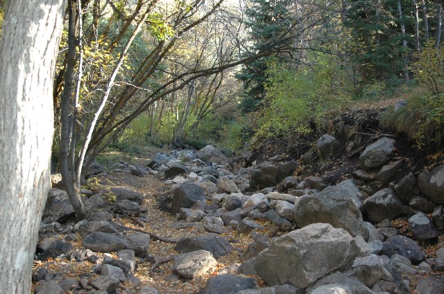 Neff Creek Diversion