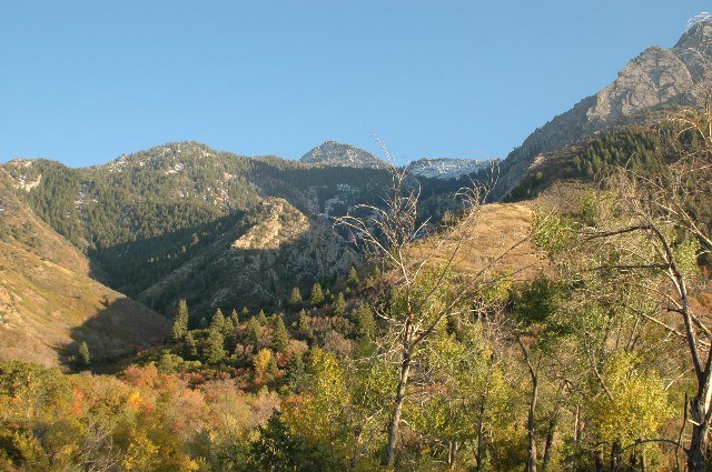 Neffs Creek Canyon