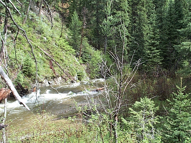 North Fork of the Salmon River