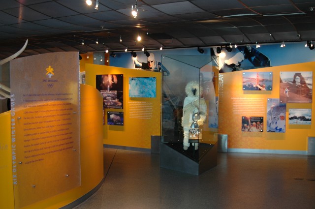 Displays at the Eccles Museum