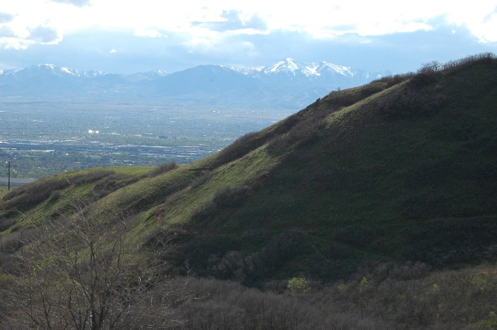 Red Butte Canyon