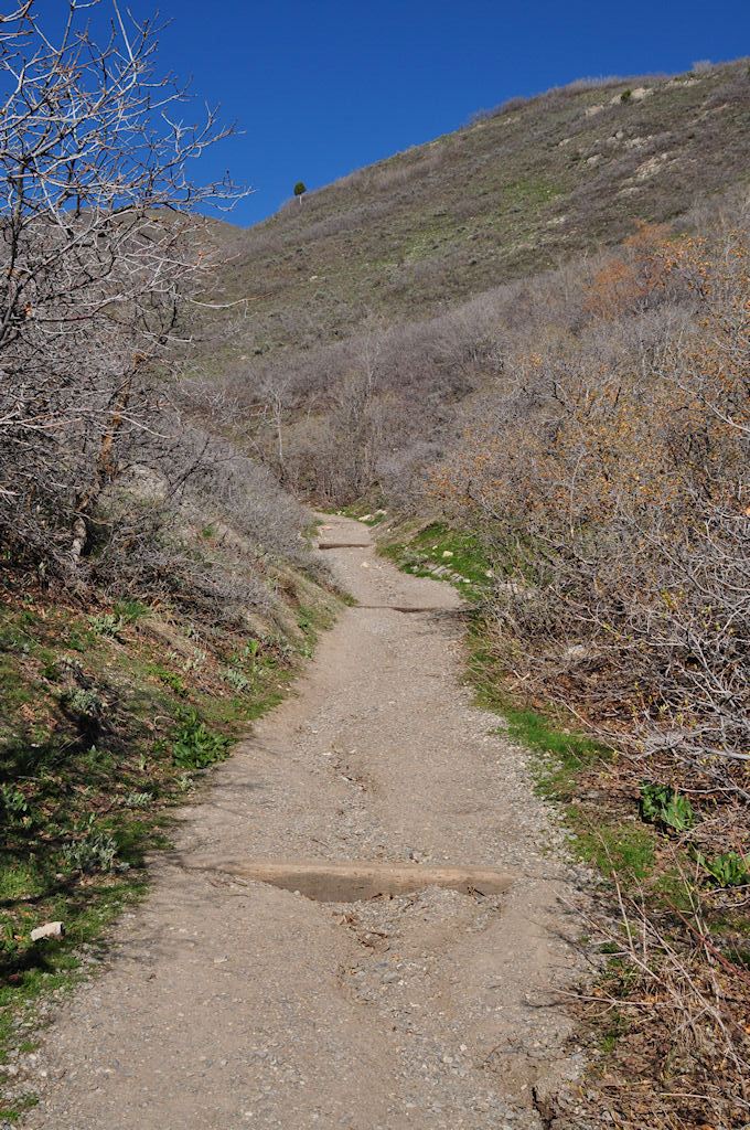 Side Canyon Trail