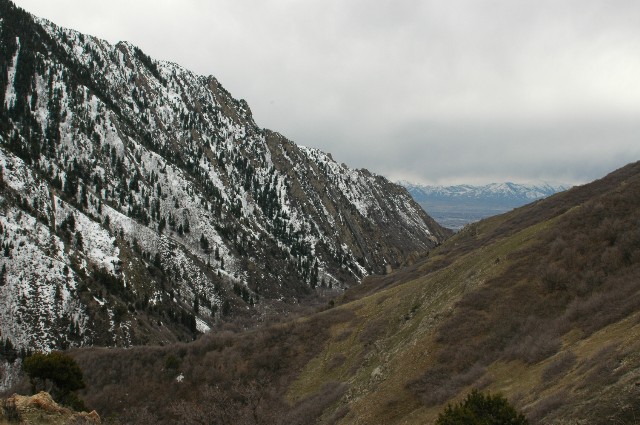 Lower Mill Creek Canyon