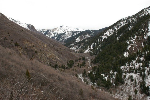 Upper Mill Creek Canyon