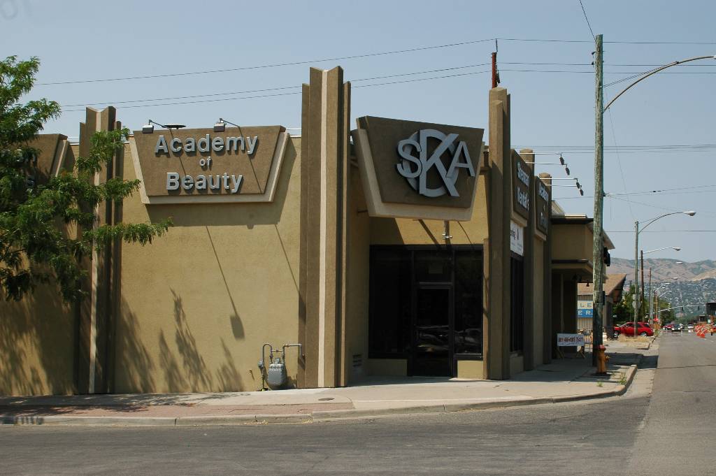 SKA Academy