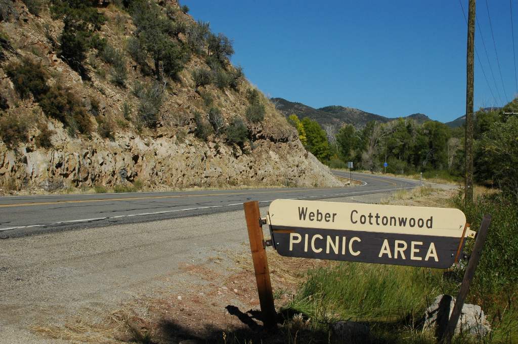 Weber Cottonwood Picnic Area