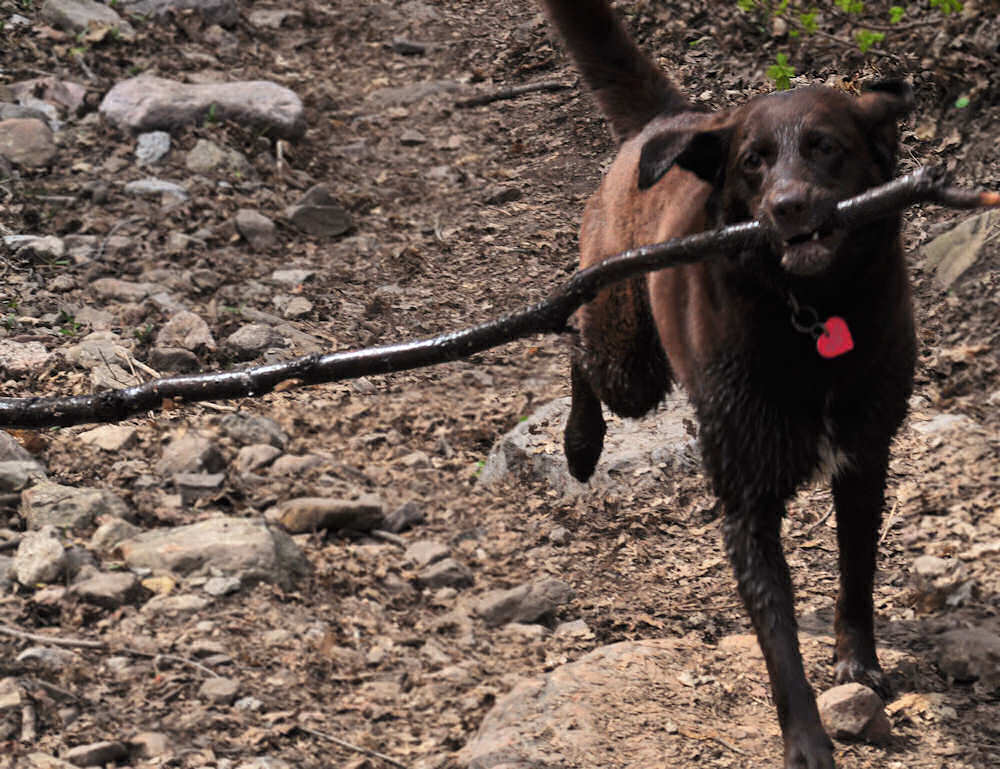 Running with Stick