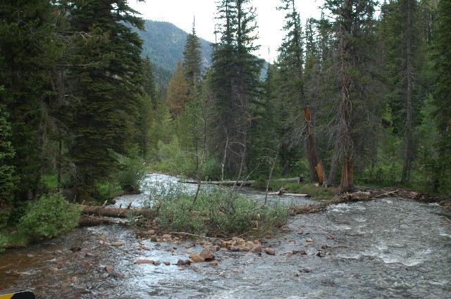 Smith and Morehouse Creek