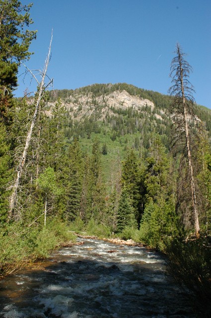 Smith and Morehouse River