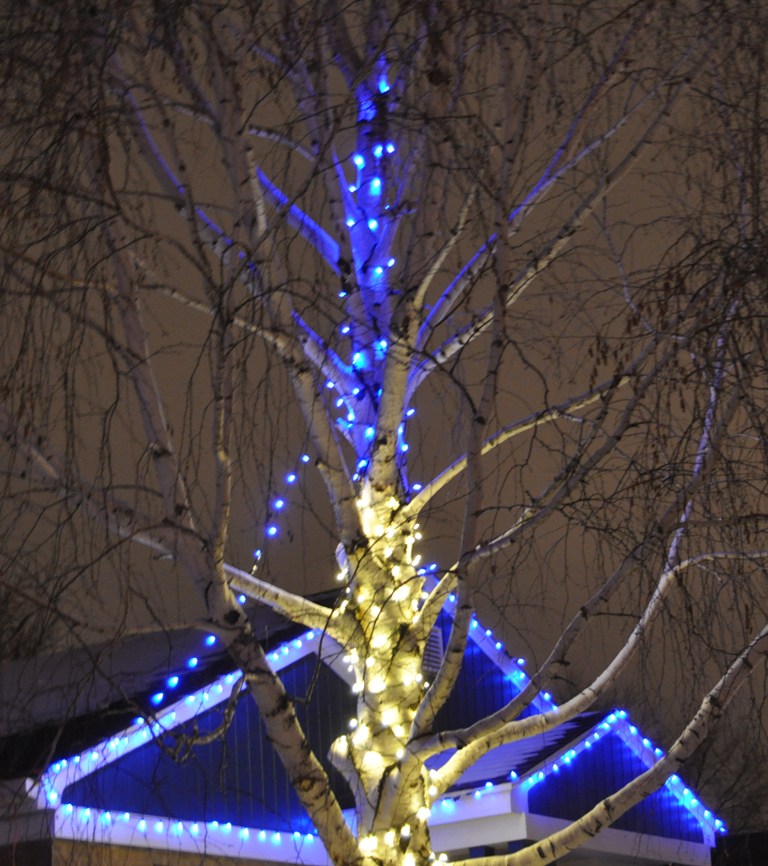 Lighted Tree