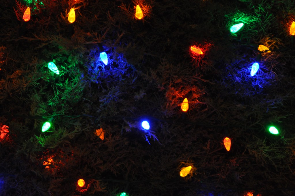 Lights in a Tree