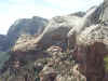 Zion Canyon Rim