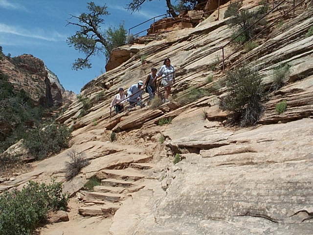 Observation Canyon Trail