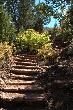 Trail Stairs