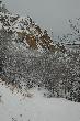 Neff Trail in Snow