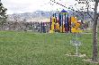 Disc Golf and Playground