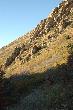 Neffs Canyon Trail
