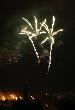 Palm Tree Fireworks