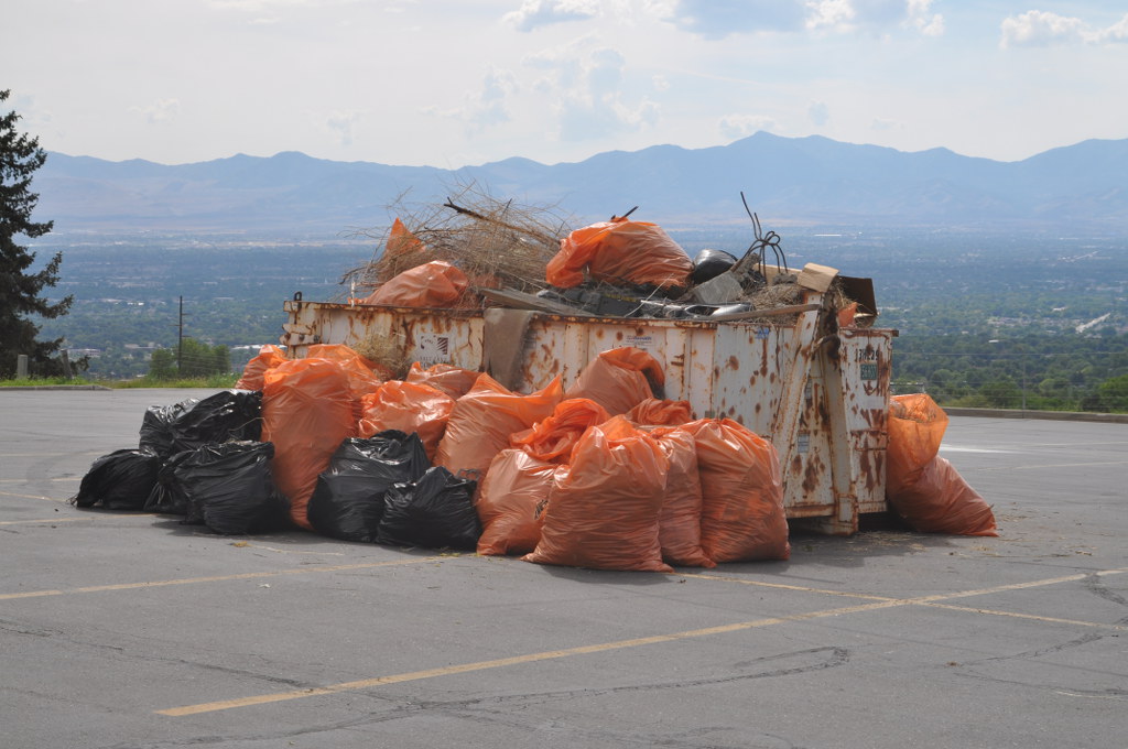 Wasatch Cleanup