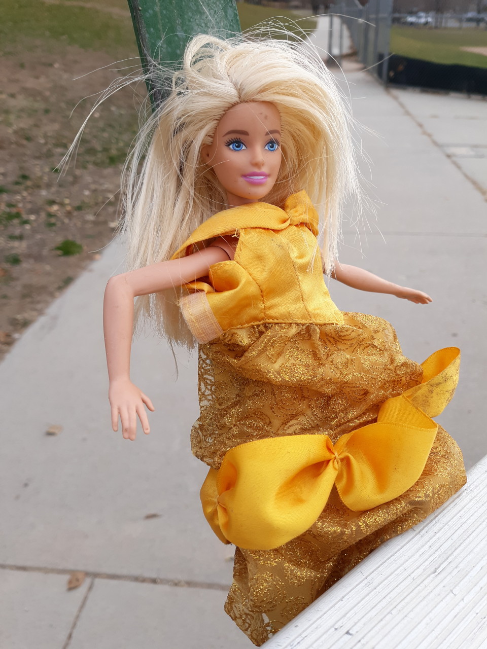 A Lost Barbie